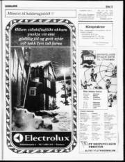 Síða 13