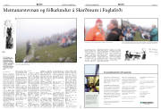 Síða 11