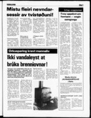 Síða 3