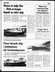 Síða 5