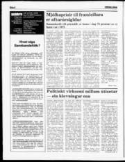 Síða 6