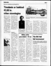 Síða 3