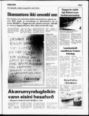 Síða 5