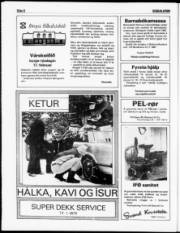 Síða 8