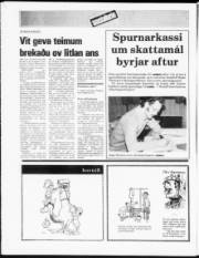 Síða 12