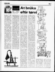 Síða 7