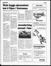 Síða 3