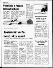 Síða 5