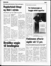 Síða 3