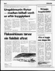 Síða 8
