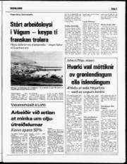Síða 5