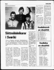 Síða 8