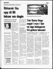 Síða 3