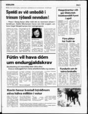 Síða 5