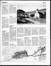 Síða 13