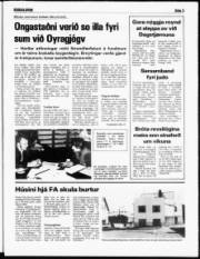 Síða 3