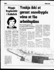 Síða 8