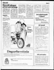 Síða 13
