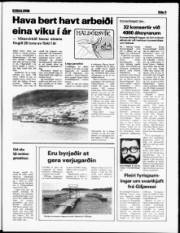 Síða 5