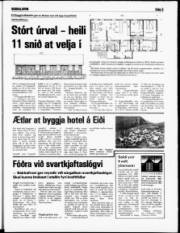 Síða 5