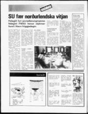 Síða 16