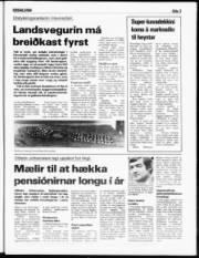 Síða 3