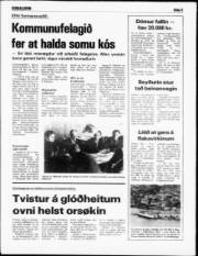 Síða 5