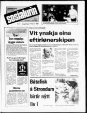 Síða 1