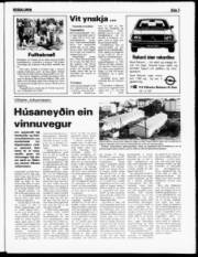 Síða 3