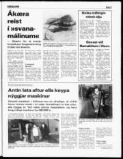 Síða 5