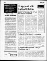 Síða 6