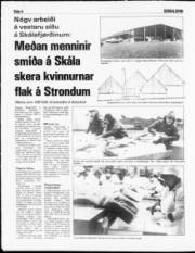 Síða 8