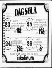 Síða 12