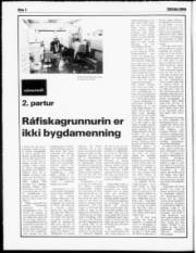 Síða 2