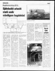 Síða 9