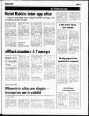 Síða 3
