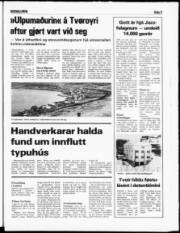 Síða 5