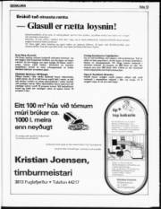 Síða 12
