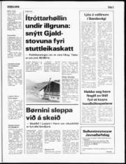 Síða 5