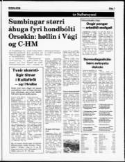Síða 7