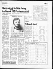 Síða 13
