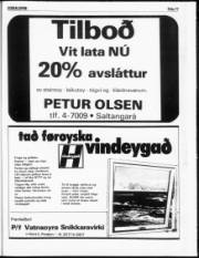 Síða 17