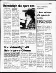 Síða 3