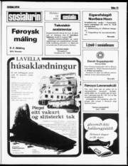 Síða 13