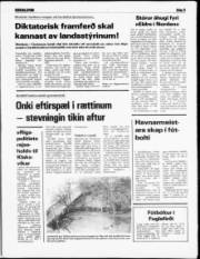 Síða 5
