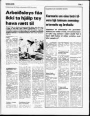 Síða 7