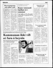 Síða 3