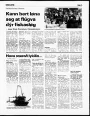 Síða 9