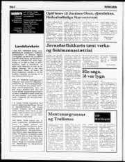 Síða 6