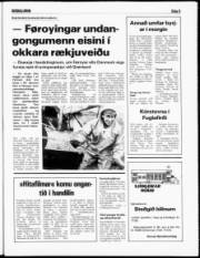 Síða 5